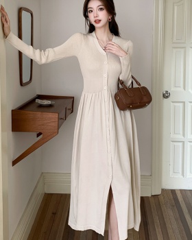 Autumn and winter dress long dress for women