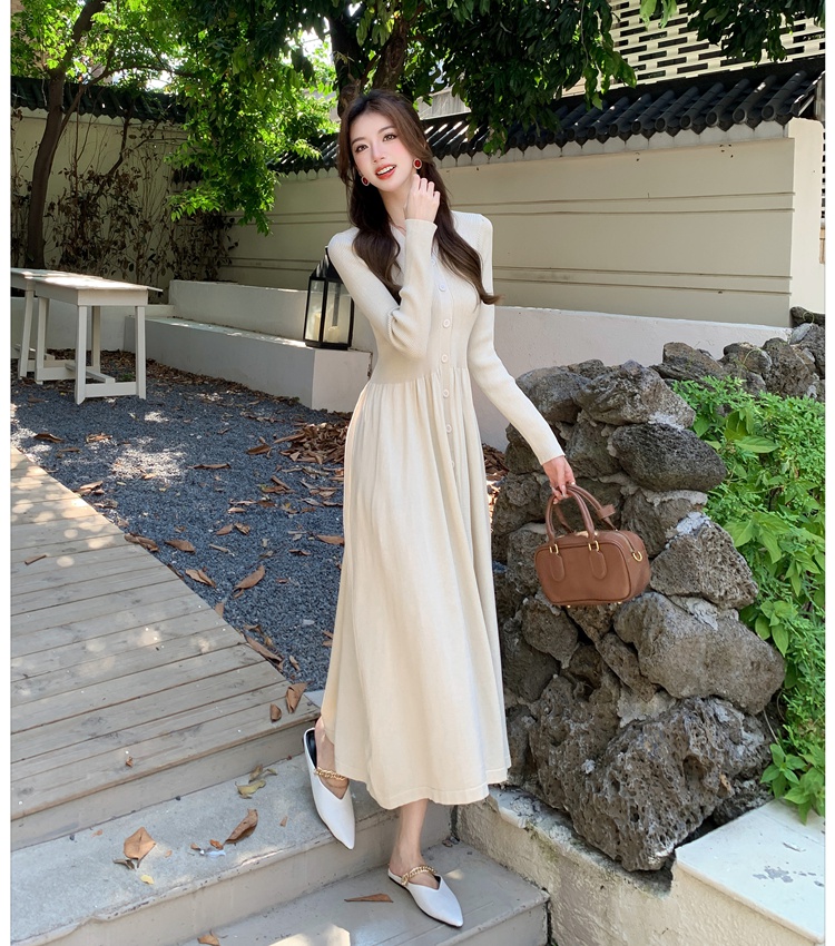 Autumn and winter dress long dress for women