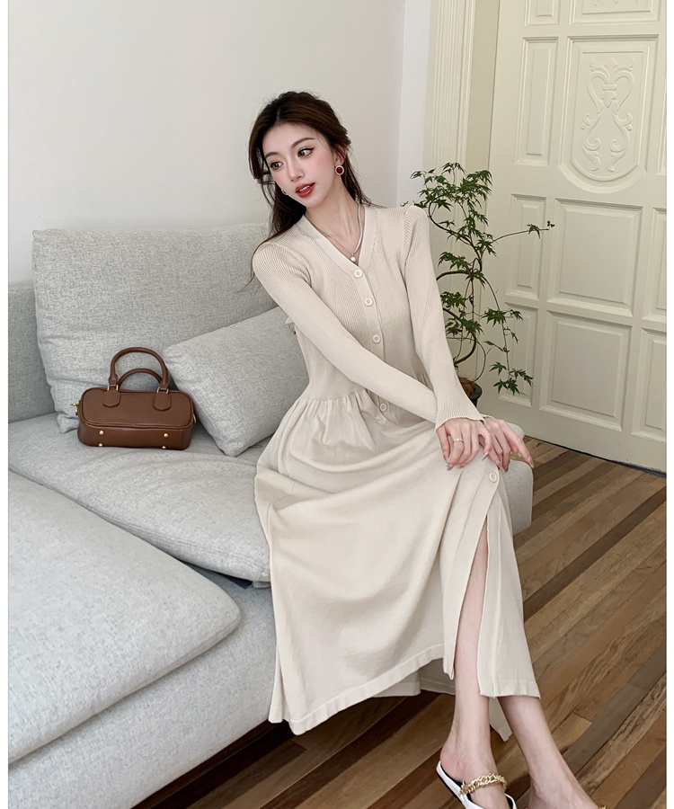 Autumn and winter dress long dress for women