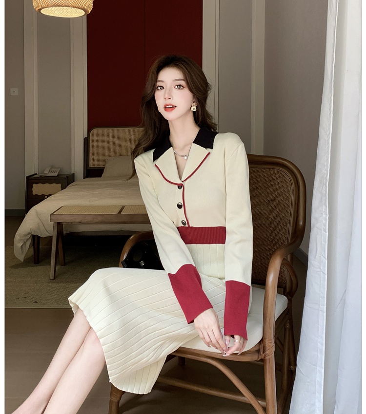 Long sleeve autumn and winter knitted temperament dress for women