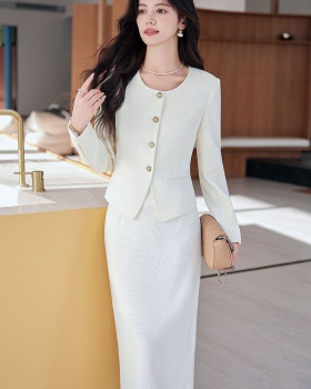 Long sleeve skirt profession business suit 2pcs set