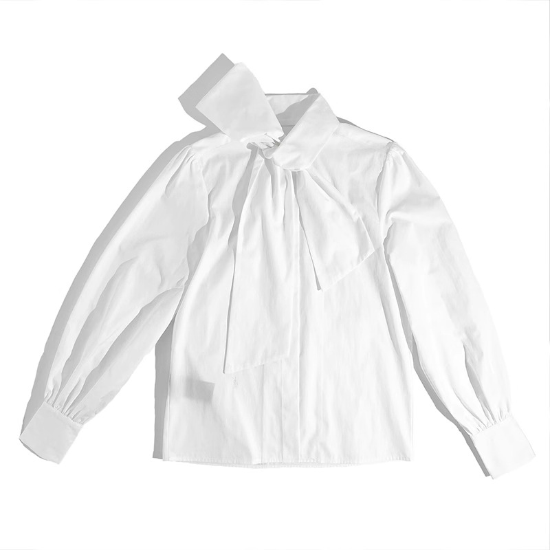 Retro white niche tops autumn temperament shirt for women