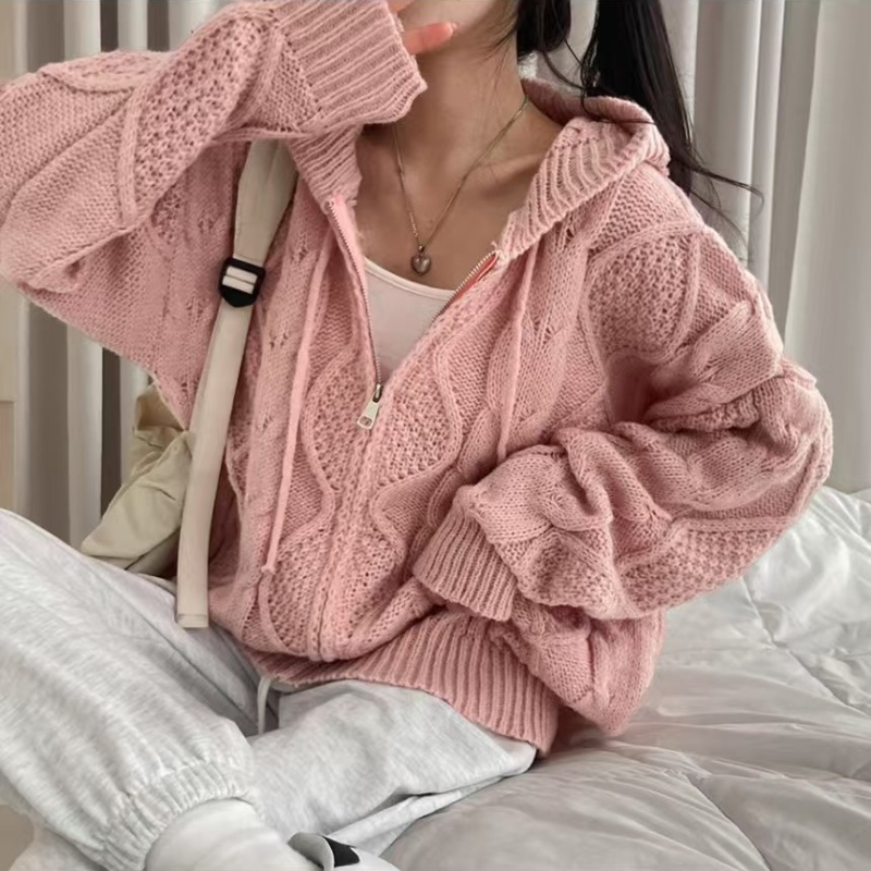 Knitted niche cardigan Korean style hooded coat