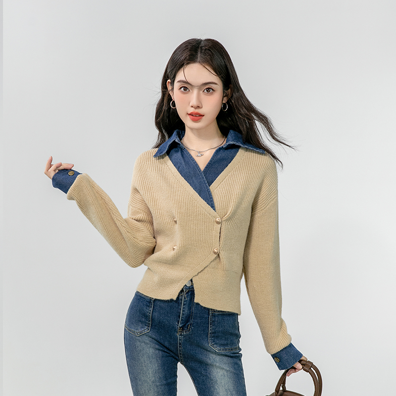 Long sleeve autumn coat lapel Korean style sweater