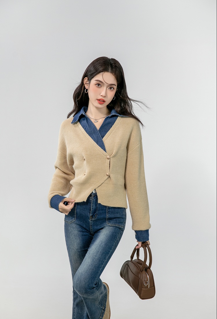 Long sleeve autumn coat lapel Korean style sweater