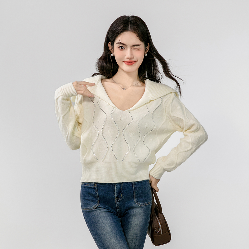 Large lapel lazy niche loose slim autumn sweater