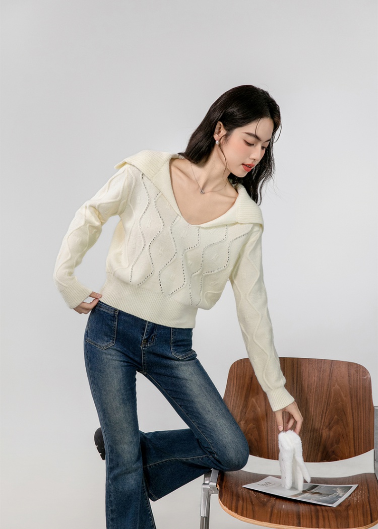 Large lapel lazy niche loose slim autumn sweater