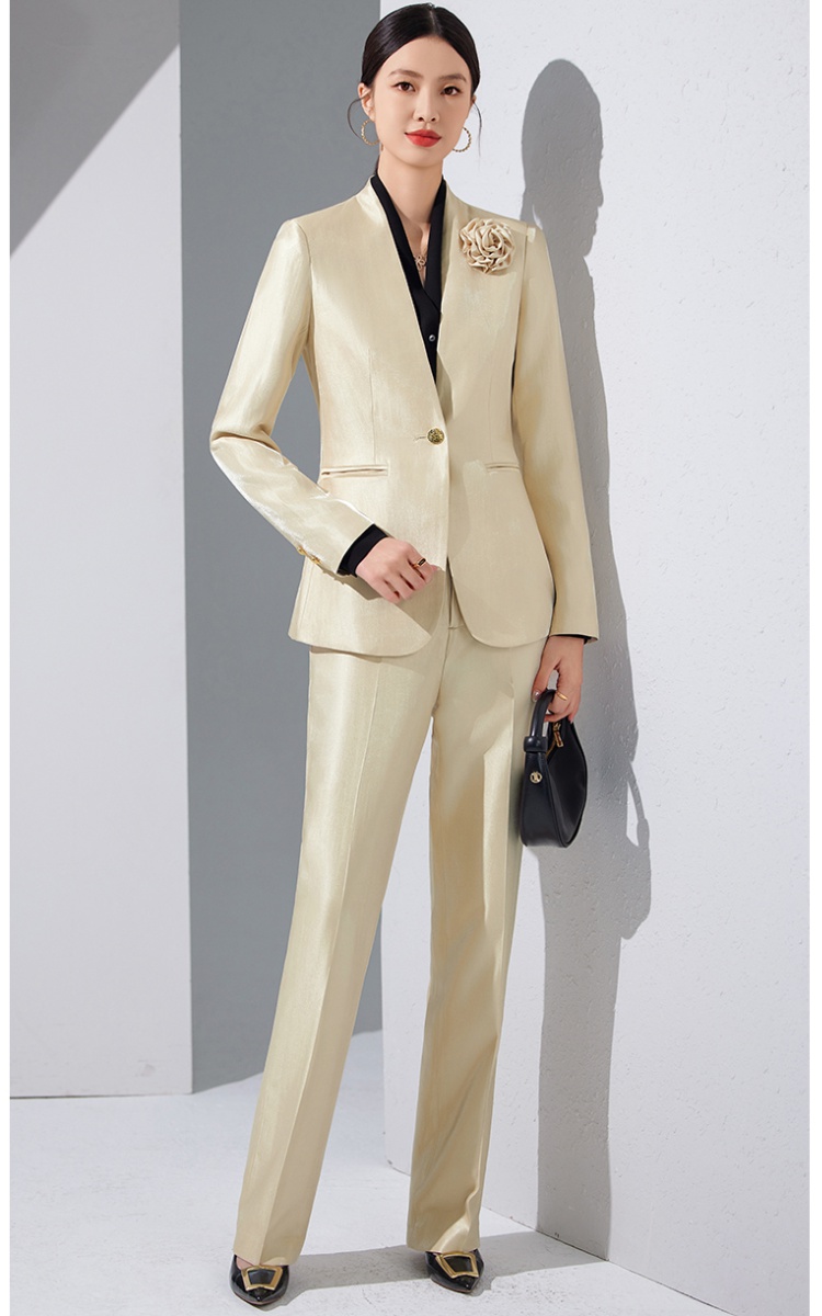 Profession business suit suit pants a set for women