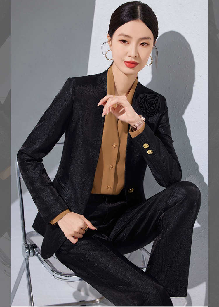 Profession business suit suit pants a set for women