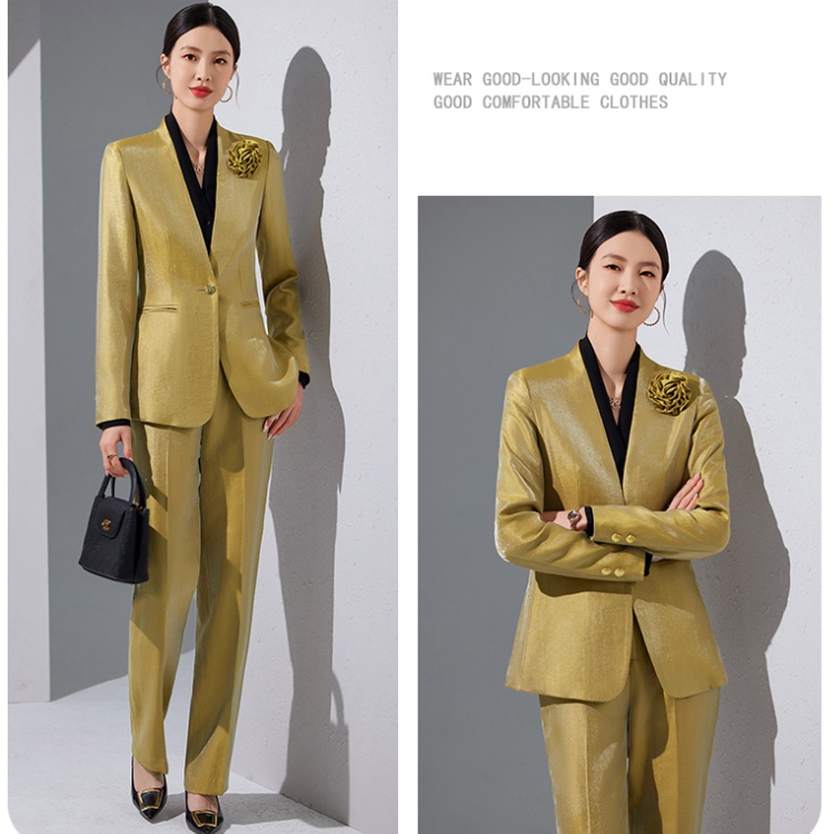 Profession business suit suit pants a set for women