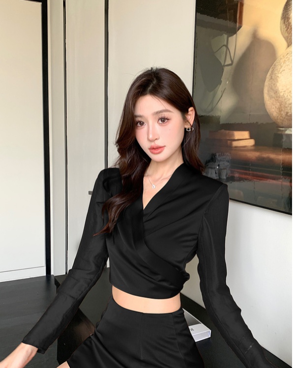 Short Korean style shirt temperament tops 2pcs set