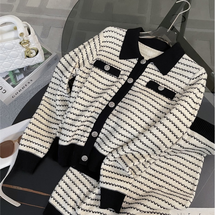 Casual cardigan knitted skirt 2pcs set for women