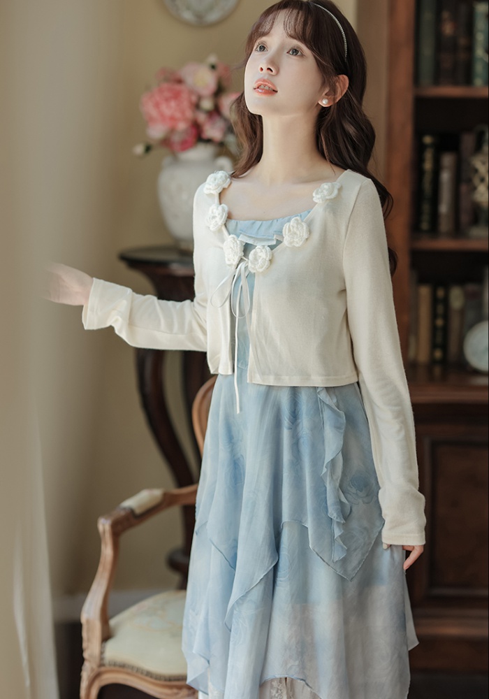 Slim cardigan rose dress 2pcs set for women