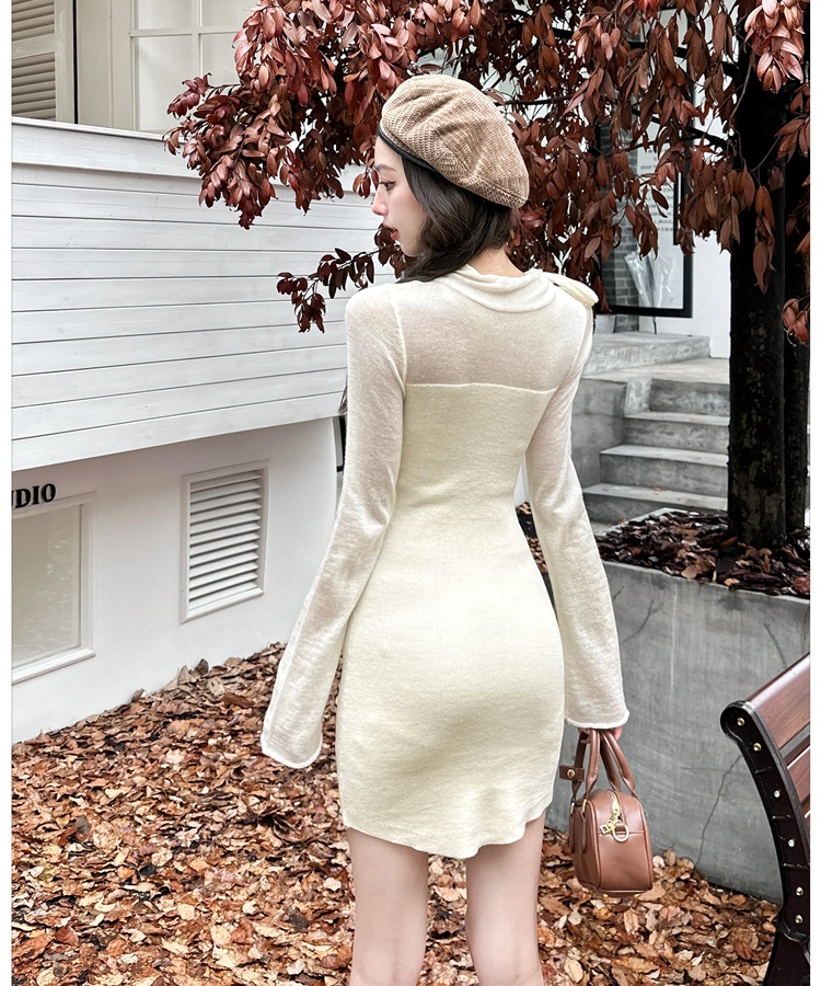 Autumn and winter package hip knitted dress