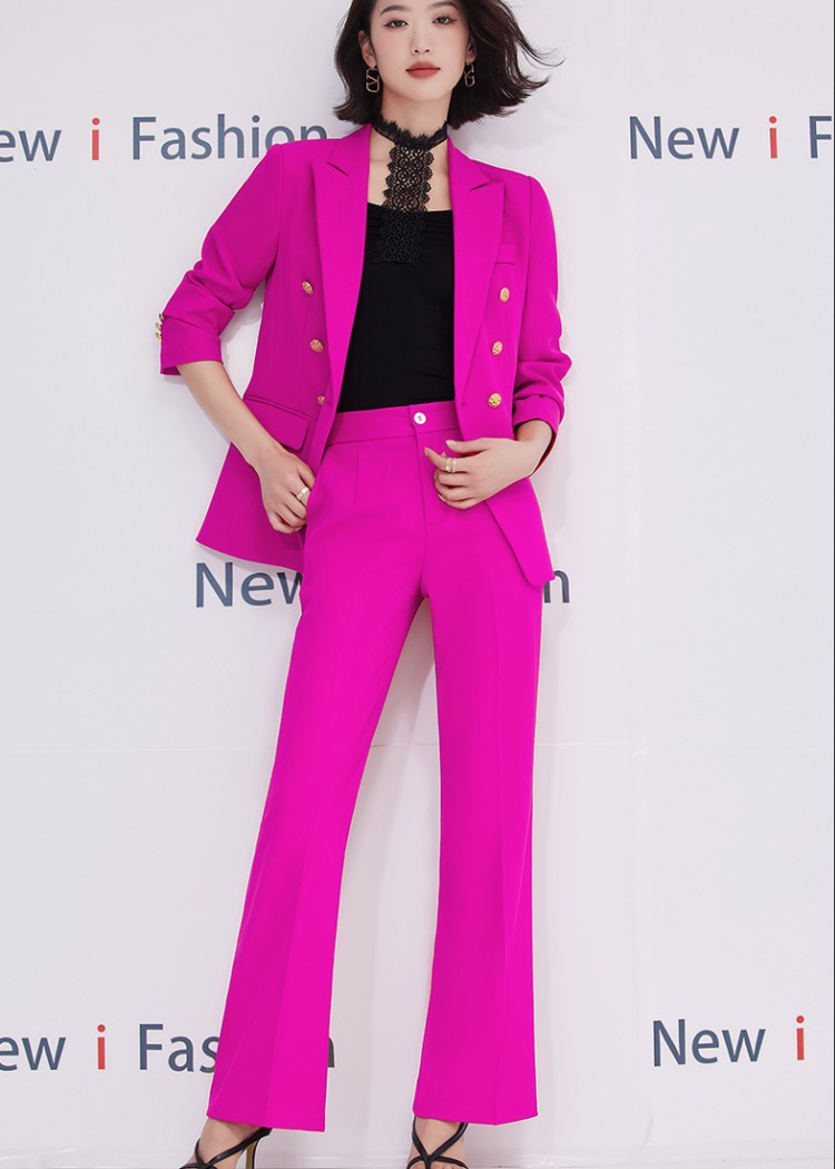 Profession suit pants business suit a set for women