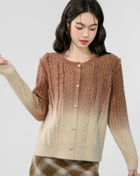 Gradient autumn tops bottoming sweater for women