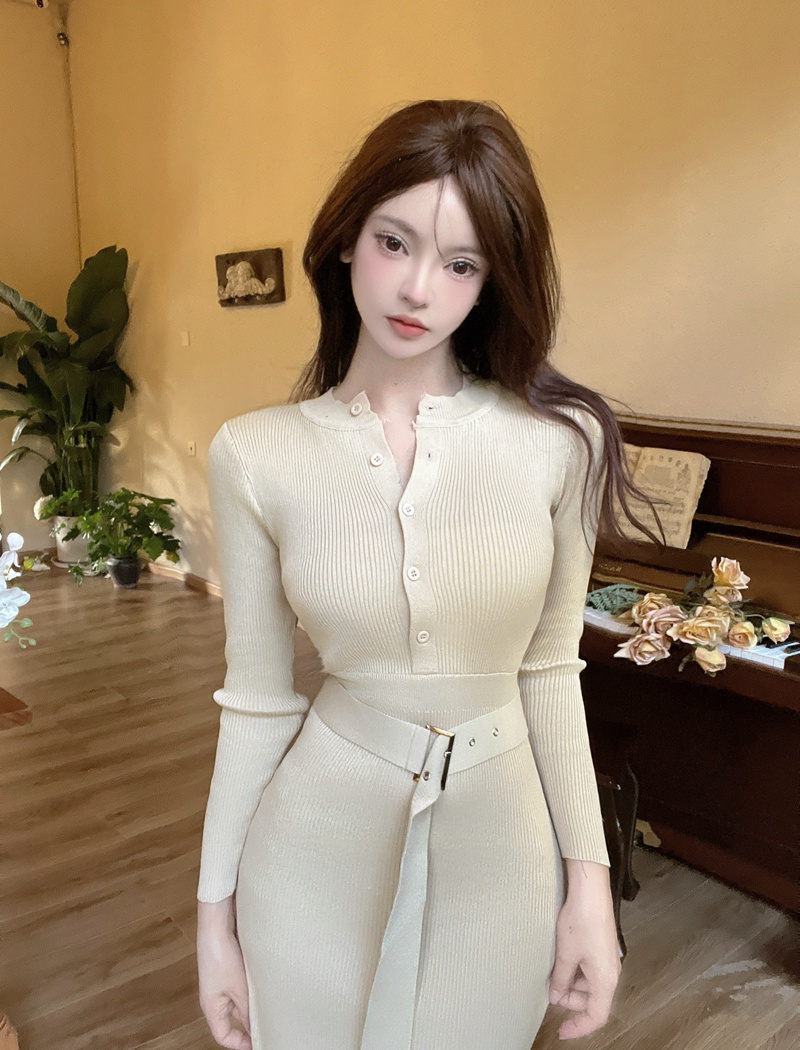 Bottoming single-breasted sweater slim dress for women