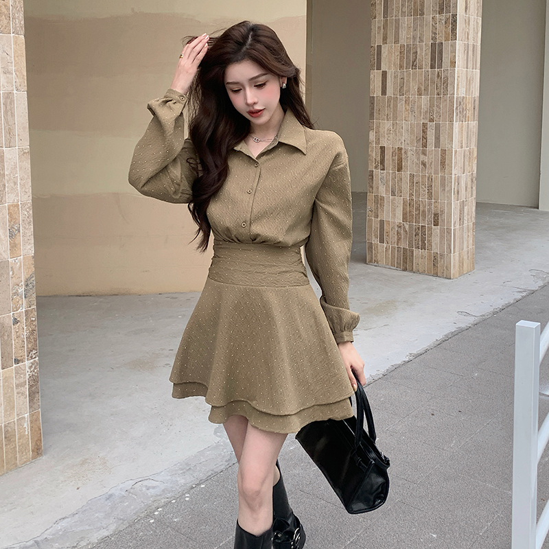 Long sleeve autumn fashion temperament dress