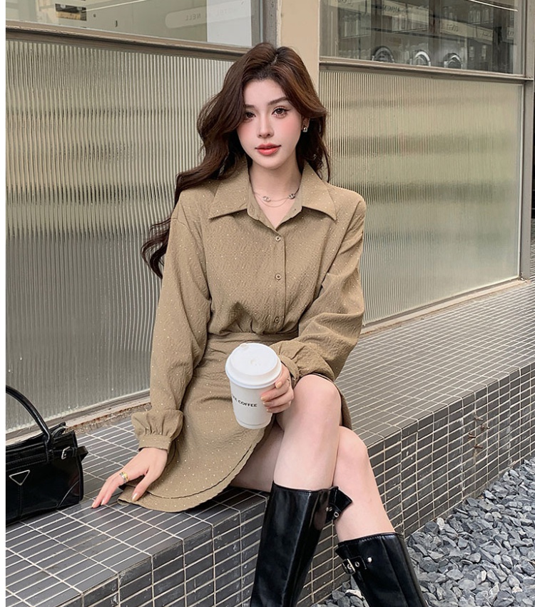 Long sleeve autumn fashion temperament dress