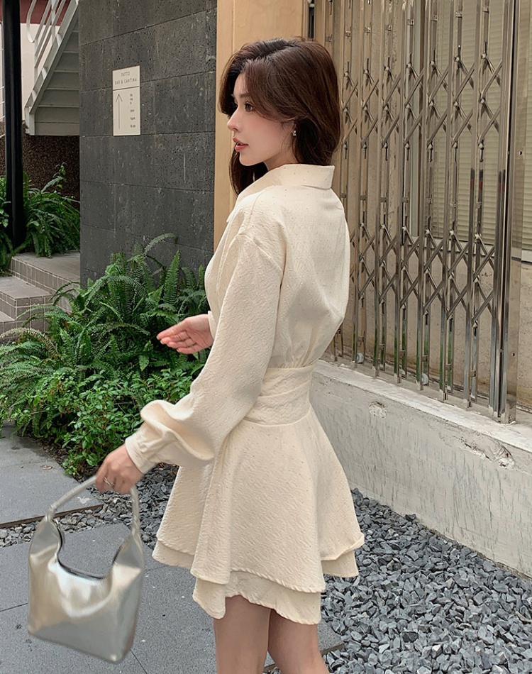 Long sleeve autumn fashion temperament dress