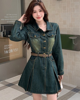 Temperament slim pinched waist retro autumn denim dress