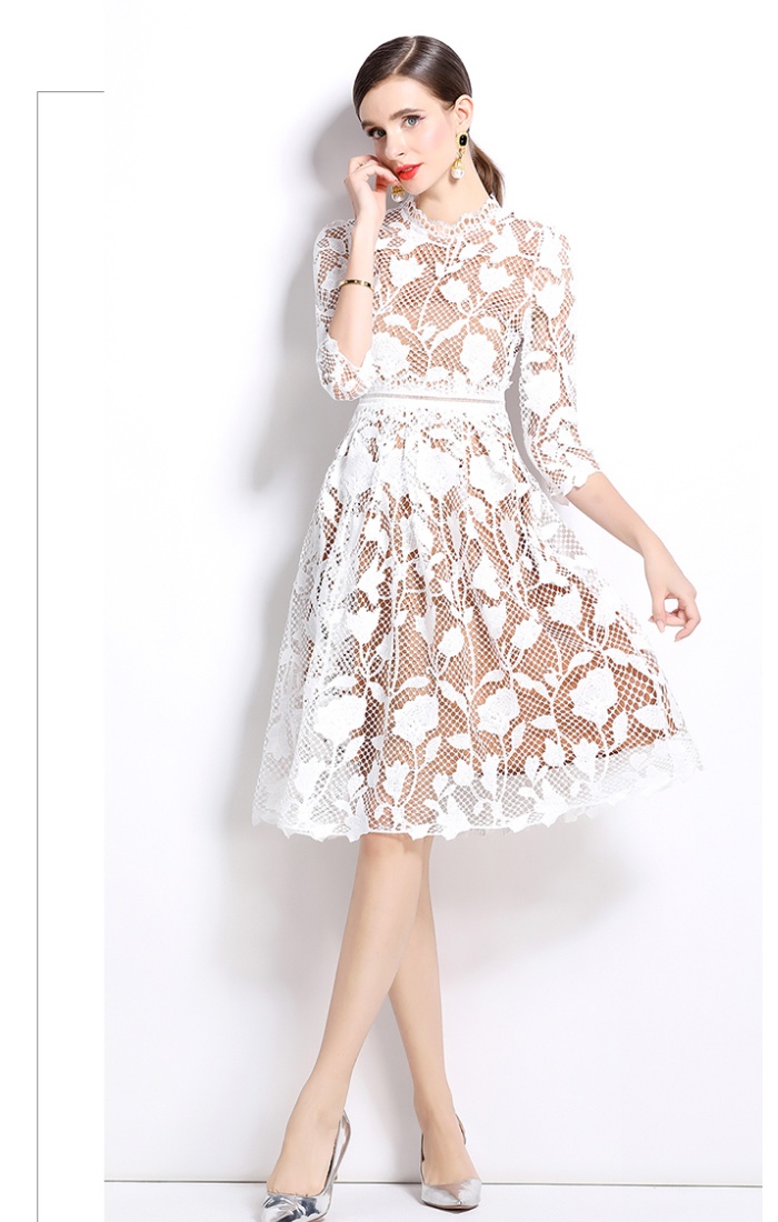 Slim long sleeve hollow lace fashion dress