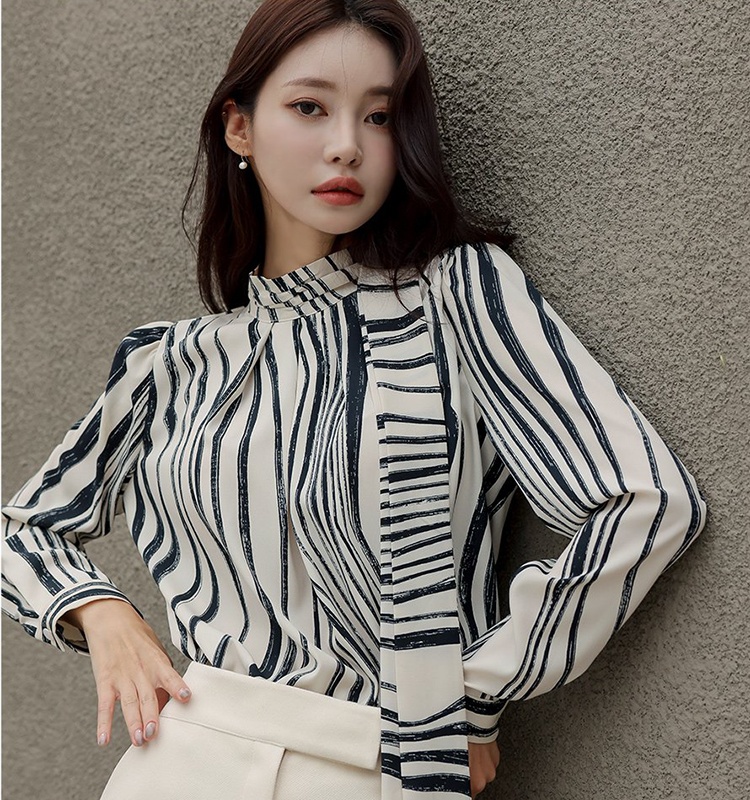 Personality niche autumn shirt zebra retro tops for women