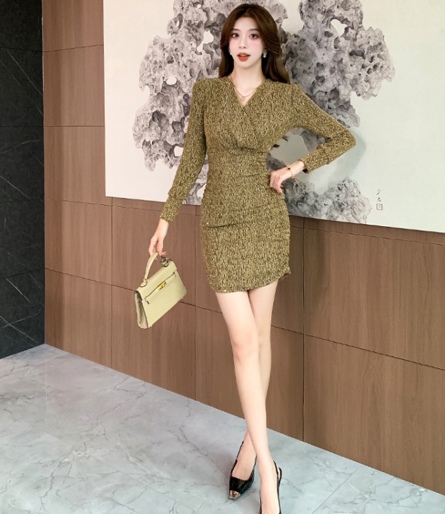 Tight package hip long sleeve V-neck liangsi dress