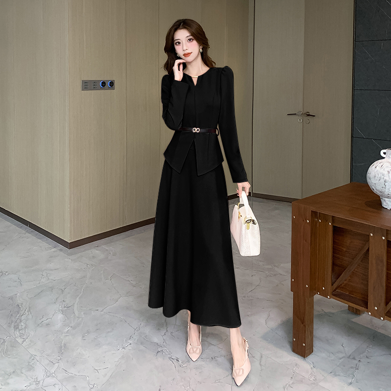 Autumn tops slim long skirt 2pcs set