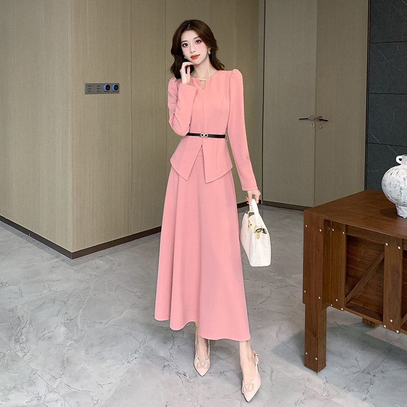 Autumn tops slim long skirt 2pcs set