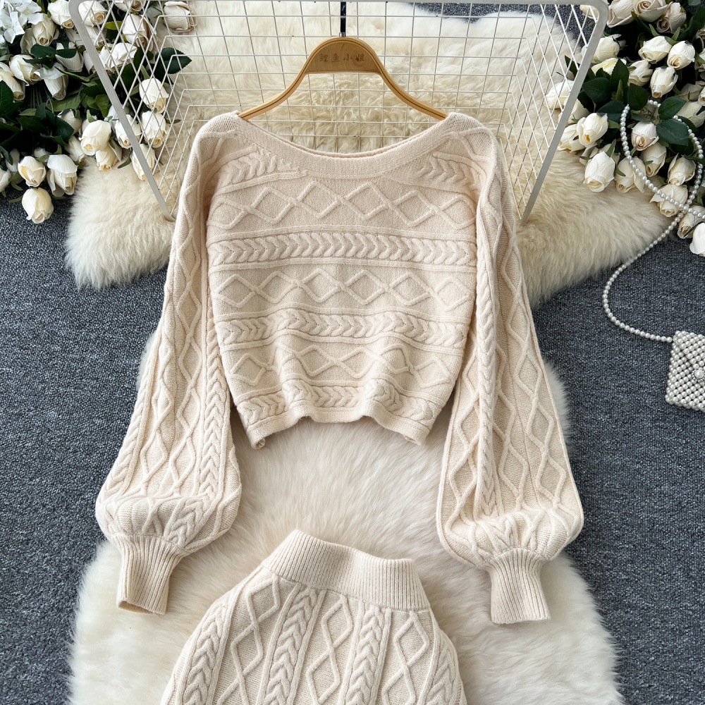 Tender skirt show young sweater 2pcs set for women