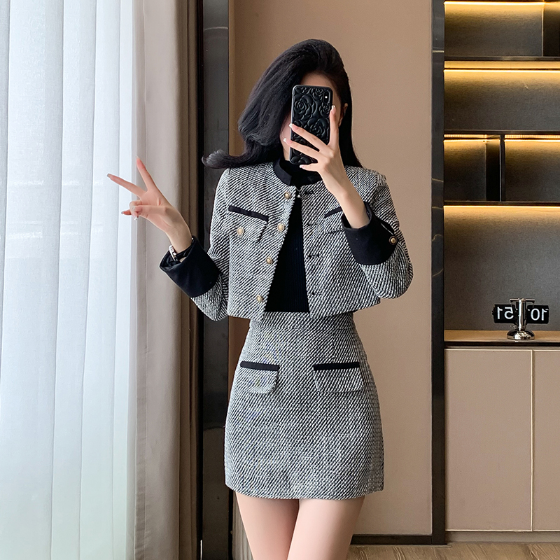 Temperament coat short skirt 2pcs set for women