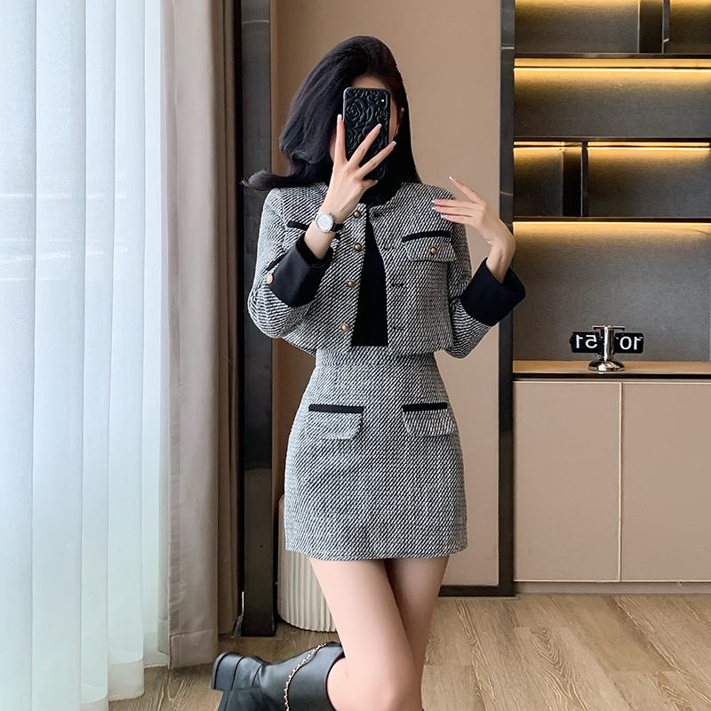 Temperament coat short skirt 2pcs set for women