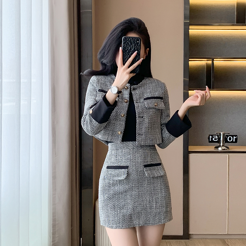 Temperament coat short skirt 2pcs set for women