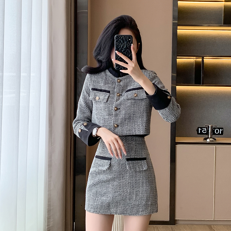 Temperament coat short skirt 2pcs set for women