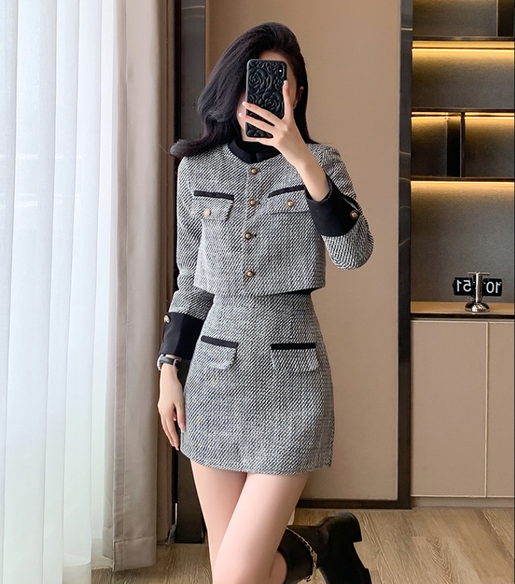 Temperament coat short skirt 2pcs set for women