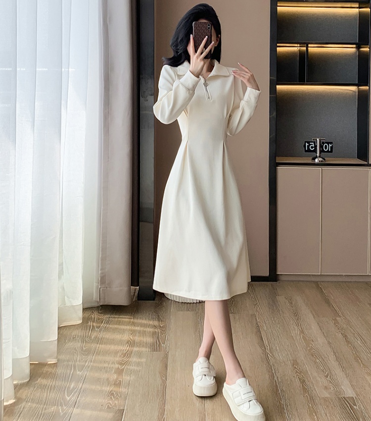 Bottoming temperament overcoat autumn dress for women