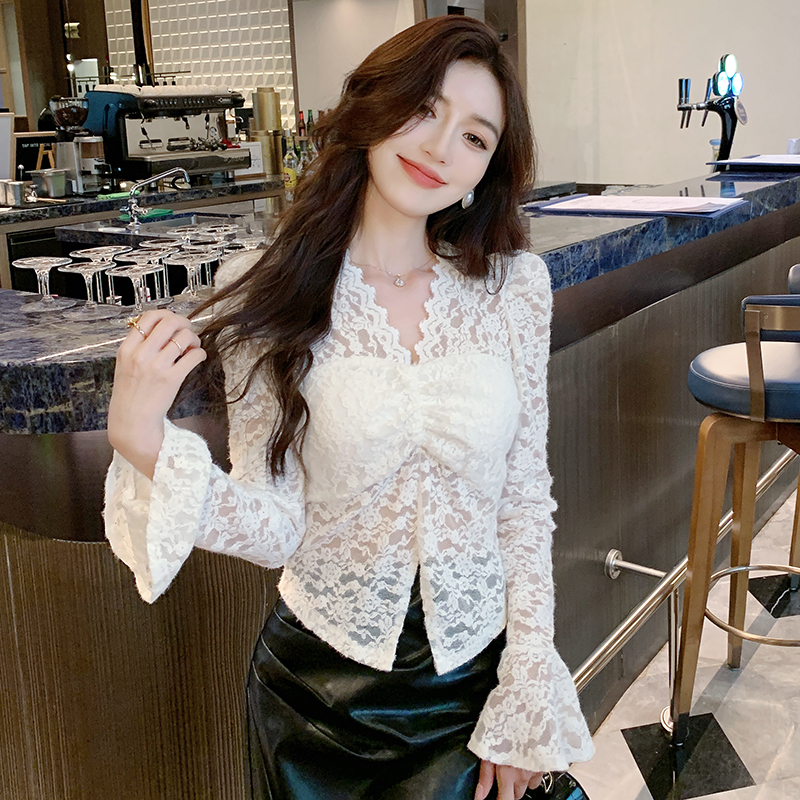 Autumn and winter small shirt V-neck shirts for women