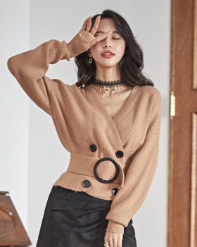 Korean style knitted V-neck slim long sleeve sweater