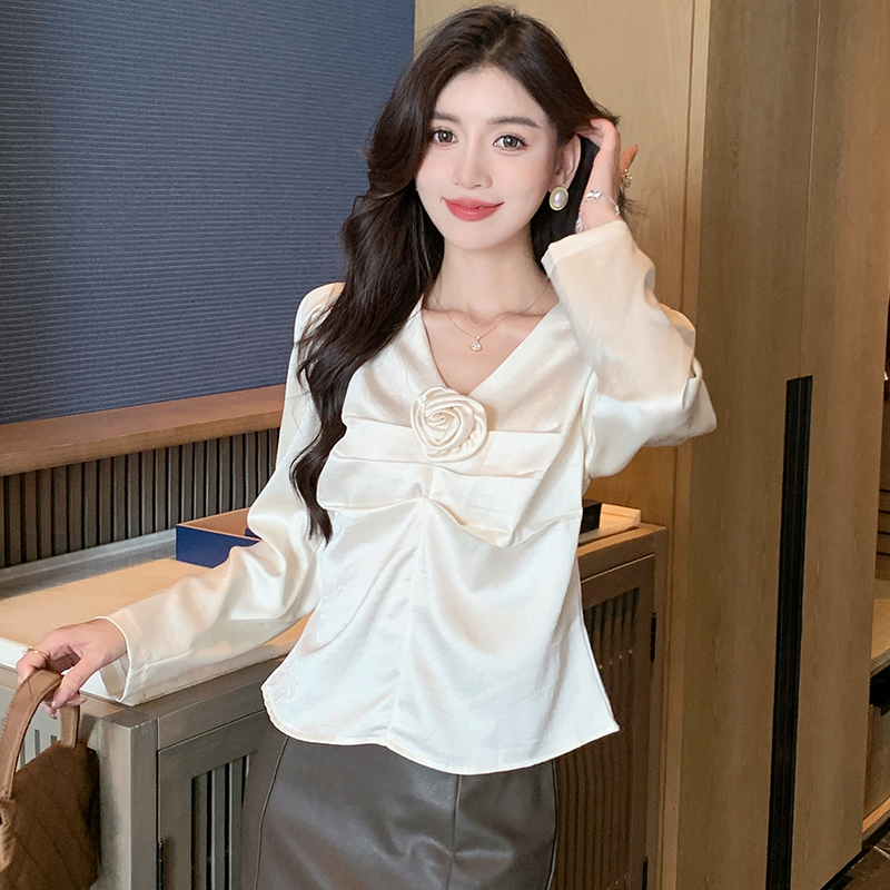 V-neck all-match bottoming shirt autumn shirt for women