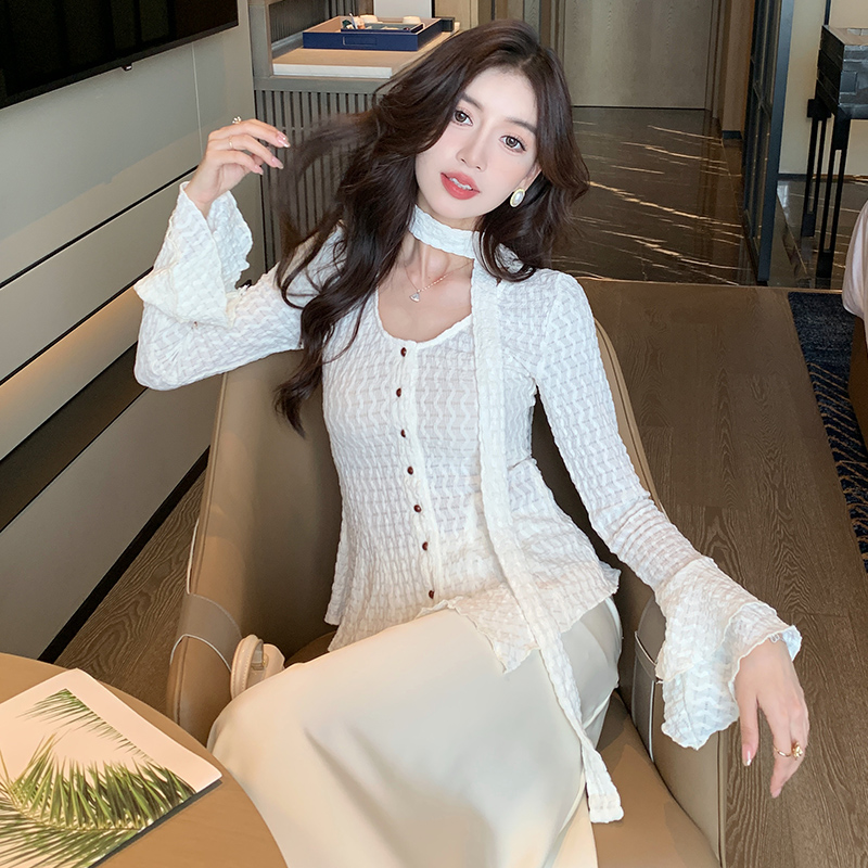 Long sleeve autumn and winter bottoming shirt frenum shirt