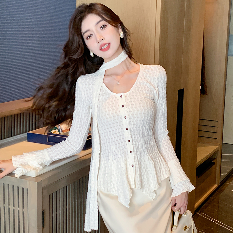 Long sleeve autumn and winter bottoming shirt frenum shirt