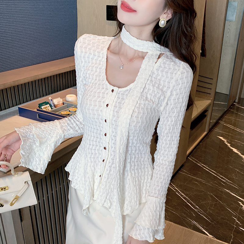 Long sleeve autumn and winter bottoming shirt frenum shirt