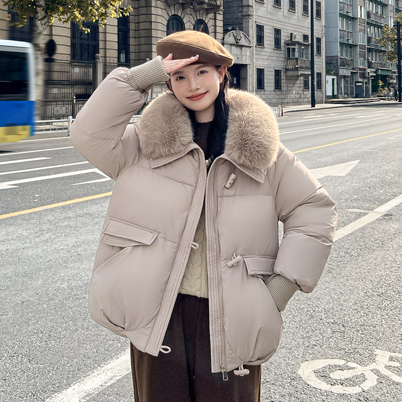 Loose Korean style bread clothing small fellow down coat