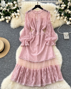 Lace fashion dress embroidery long dress for women