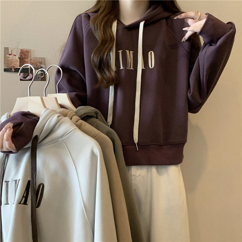 Korean style embroidery hoodie loose tops for women