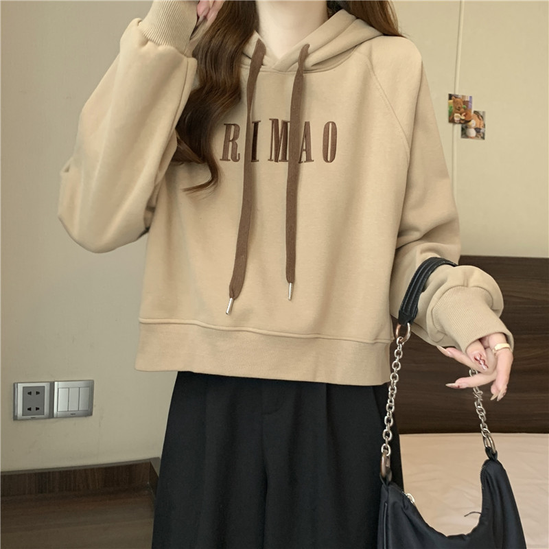 Korean style embroidery hoodie loose tops for women