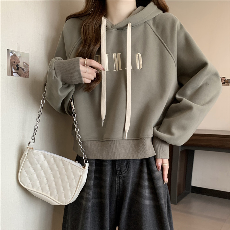 Korean style embroidery hoodie loose tops for women