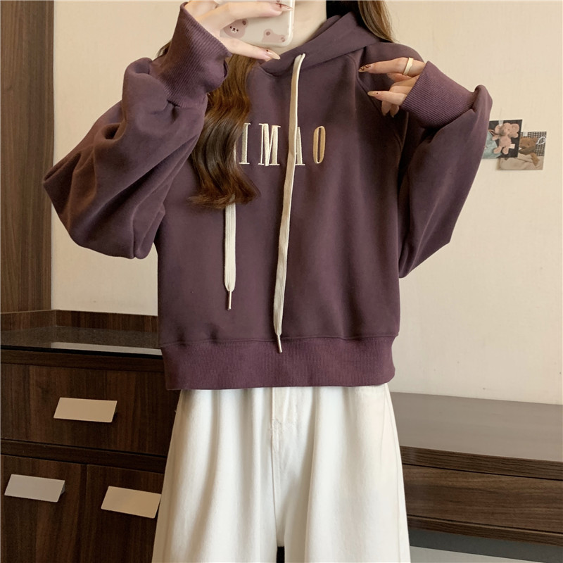 Korean style embroidery hoodie loose tops for women