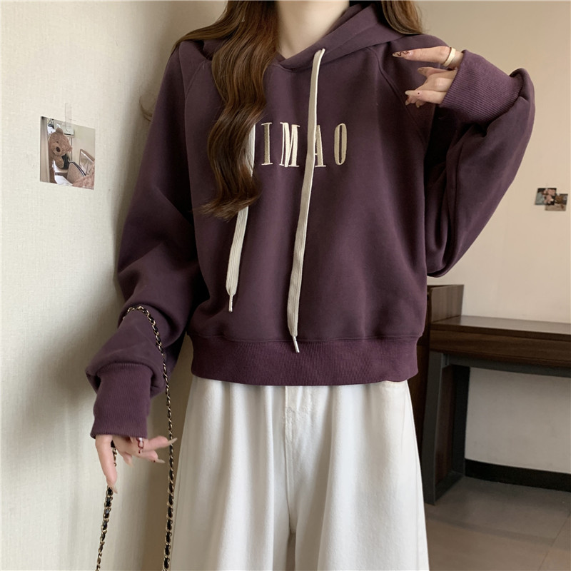 Korean style embroidery hoodie loose tops for women